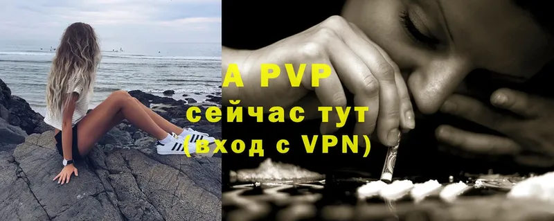 Alfa_PVP СК КРИС Новочебоксарск